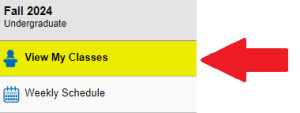 Zoom image: Arrow pointing to View My Classes