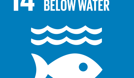 Sustainable Development Goals 14 life below water icon. 