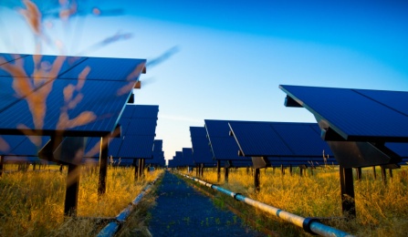 The UB Solar Strand at Sunset on North Campus Photograph: Douglas Levere. 