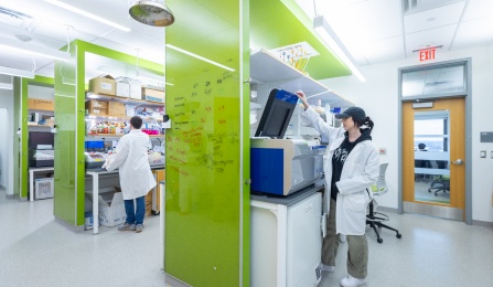 Students work in a newly renovated lab in the Cooke-Hochstetter complex. 