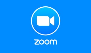 See Zoom's instructional videos. 